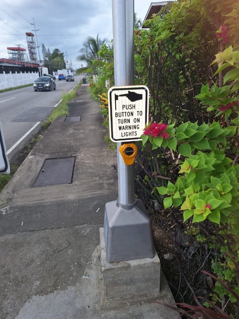 INSTALLATION OF PEDESTRIAN - ACTUATED TRAFFIC LIGHT WITH AUDIBLE SIGNAL ON SOUTHERN MAIN ROAD, MARABELLA